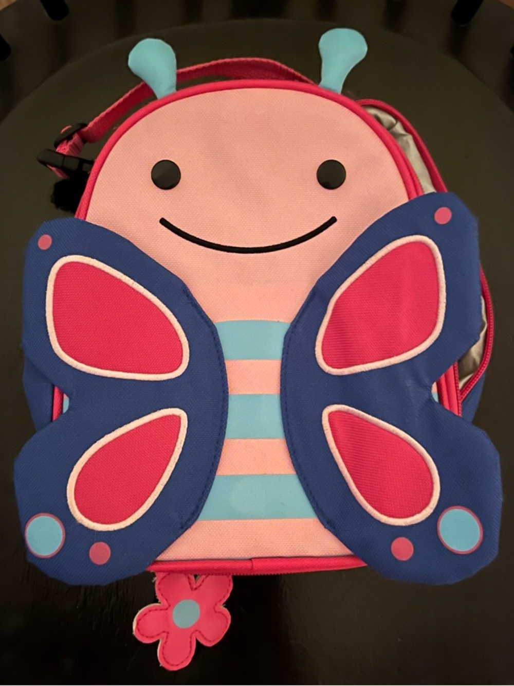 Skip hop Butterfly Kids lunchkit- Pink & Blue